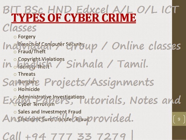 Computer crime essay